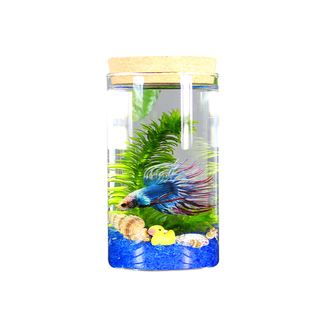 生态瓶鱼微景观免换水斗鱼瓶生态鱼瓶水族宠物斗鱼活体专用缸diy