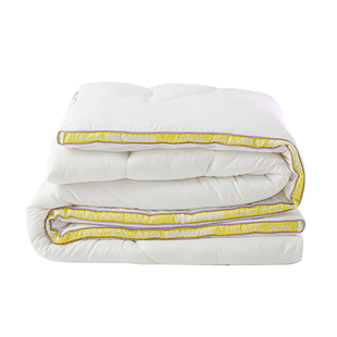 G2微重力裹感被子冬被加厚保暖助眠冬季学生宿舍单人抗菌防螨被芯