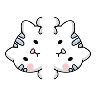 汽车车身车门保险杠装饰车贴划痕遮挡遮盖电动车贴画车头防水贴纸