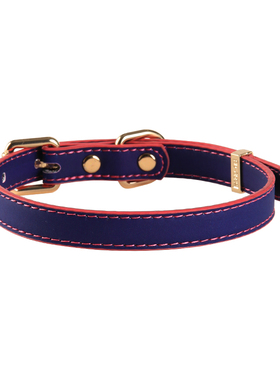 PUPPYRIDER温感变色项圈m原宿风