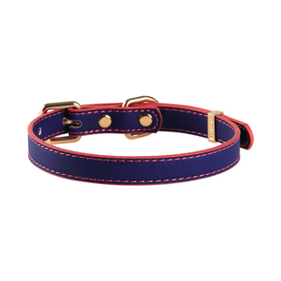 PUPPYRIDER温感变色项圈m脖环puppy小狗日记手作定制原宿风choker