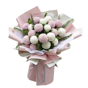 乒乓菊雏菊种子200粒马兰头花地被延命菊花种籽室外阳台盆栽秋播