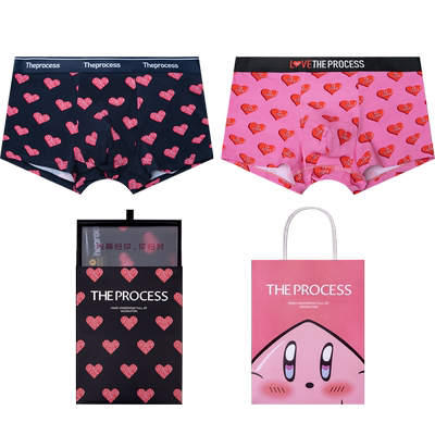 THEPROCESS男内裤礼盒2条装