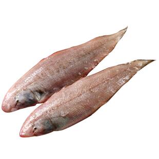 真正龙利鱼新鲜冷冻大舌鳎鱼特大玉秃鱼护眼鱼商用鱼排非巴沙鱼片