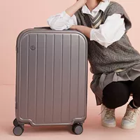 Высокая стоимость руды серая пепела