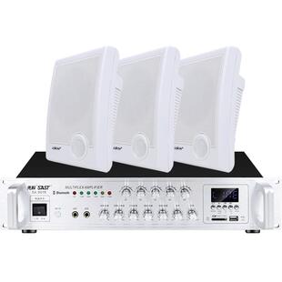 先科K2壁挂音响音箱店铺专用挂墙式无线蓝牙广播商用音柱功放套装