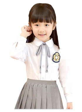小学生班服春秋季园服长袖衬衣中