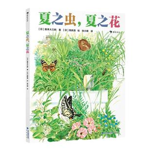 夏之虫夏之花 4-8岁夏季动植物自然图鉴科普绘本 500余种夏日动植物的唯美图鉴 浪花朵朵童书京派旗袍经济杠杆软雪