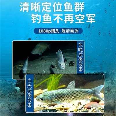 水下高清夜视探鱼器可视摄像头钓鱼水底看鱼神器2024新款探头