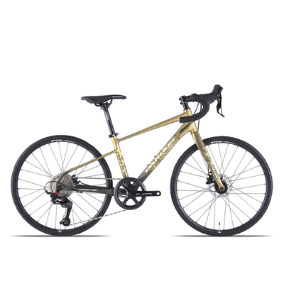 瑞豹青少年自行车pardus