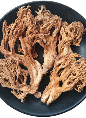 野生珊瑚菌扫把菌干货土特产蘑菇