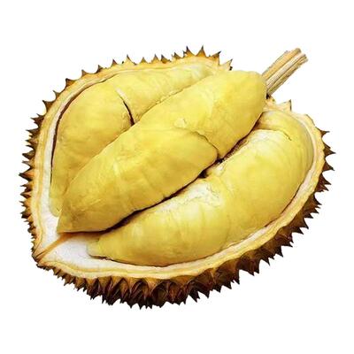 泰国金枕榴莲进口水果之王
