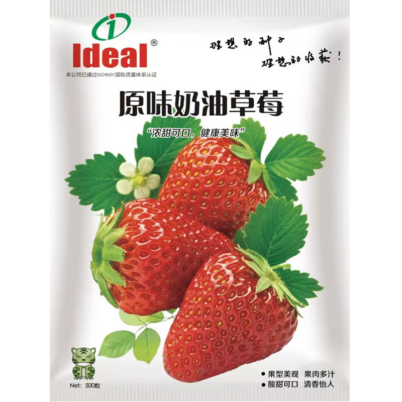 四季种植蔬菜种子春季易种品种