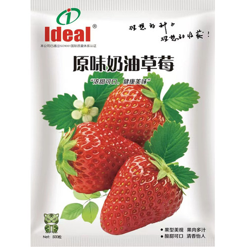 蔬菜种子农家辣椒番茄黄瓜西红柿香菜西瓜草莓四季菜种籽孑大全
