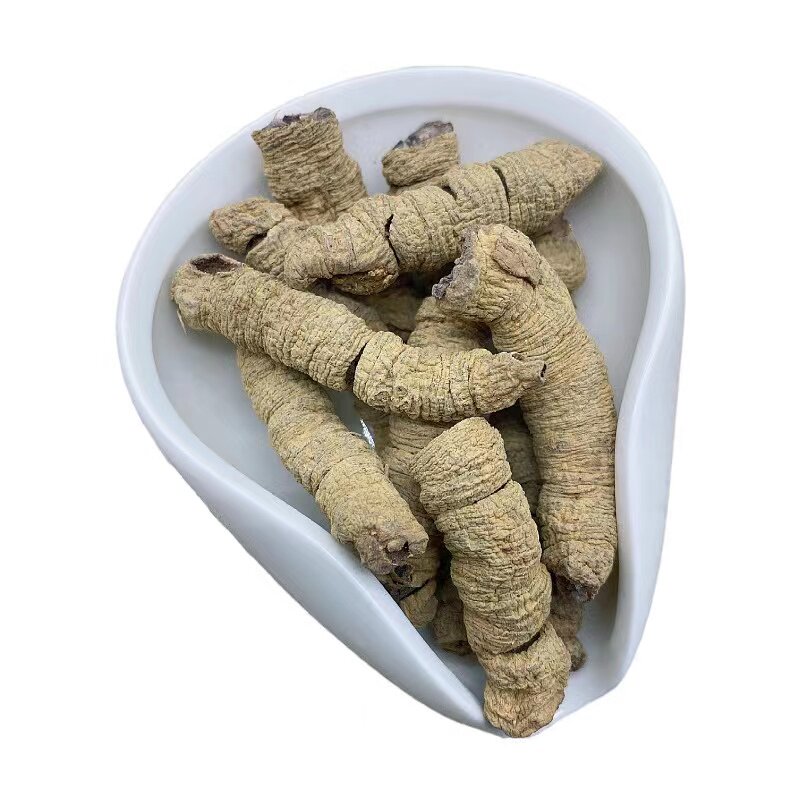 德庆巴戟天特大野生抽芯巴戟肉