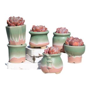 窑变流釉多肉花盆粗陶透气拇指盆创意肉肉盆精控养老桩盆哑光陶盆