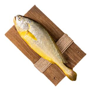 三都港生态深水大黄鱼1.2斤-1.3斤*2条 新鲜冷冻宁德深海黄花鱼