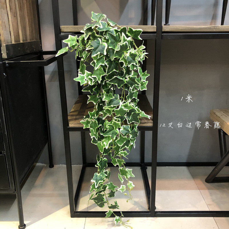 仿真大把束常春藤植物墙藤条装饰室内外吊兰垂吊壁挂爬藤挂藤绿植