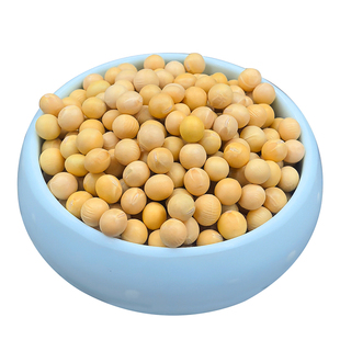 黄豆打豆浆专用农家自种东北非转基因新小黄豆批发本地老品种大豆