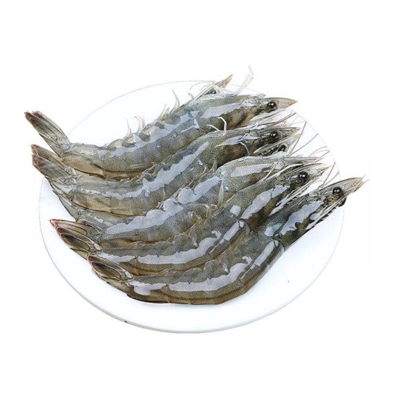 新鲜野生速冻整盒装顺丰包邮海虾