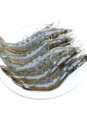 新鲜野生速冻整盒装顺丰包邮海虾