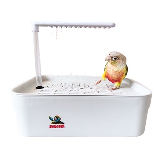 鹦鹉洗澡盆自动循环洗澡神器虎皮珍珠鸟玄凤牡丹小鸟用品大全玩具