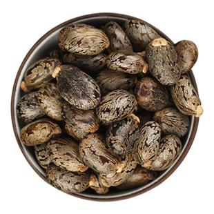 蓖麻种子手工挑拣蓖麻籽新鲜中药材蓖麻子树根大粒红蓖麻种籽油