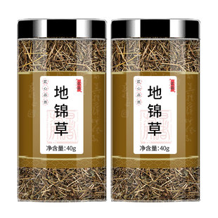 地锦草中药新鲜奶浆草血见愁红丝草卧蛋草小飞杨草铺地红泡茶泡水