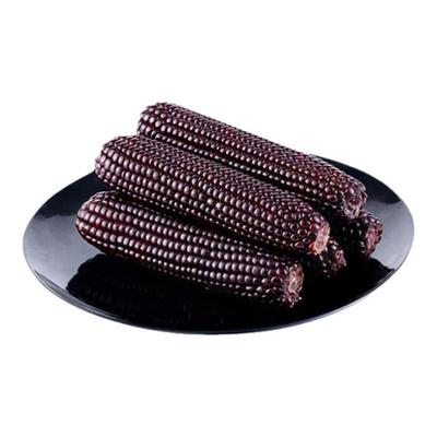 美味新鲜软糯黑色糯玉米棒