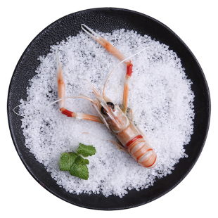 新西兰进口大号海鳌虾scampi斯干比小龙虾南极深海1号2号3号