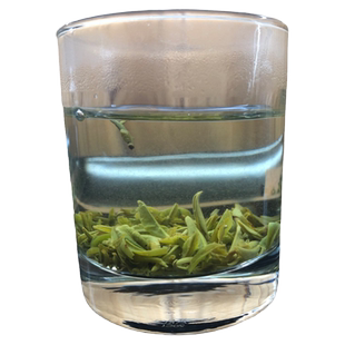 葛玄天台山云雾茶2025新茶浙江高山早春明前绿茶碎片茶口粮茶散装