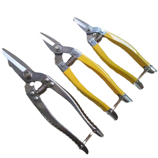 正品罗定不锈钢平口果剪采沙糖桔沃柑桔大小黄剪圆头多功能摘果剪