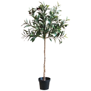 掬涵大型橄榄树仿真绿植室内造景假树仿生植物盆栽客厅落地摆件