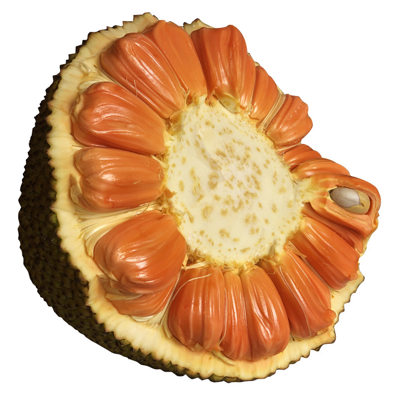 正宗印尼红红肉菠萝蜜当季新鲜水菠萝蜜