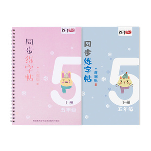 五年级上册练字帖人教版小学生每日一练凹槽楷书钢笔儿童练习写字同步课本生字笔画顺序组词下册正楷硬笔书法