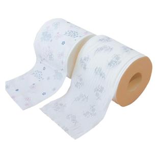 日本进口四国特纸香味卷纸印花手纸有芯双层卫生纸家用实惠装四卷