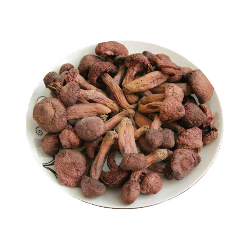 东北红蘑菇野生干货金衣松茸包邮