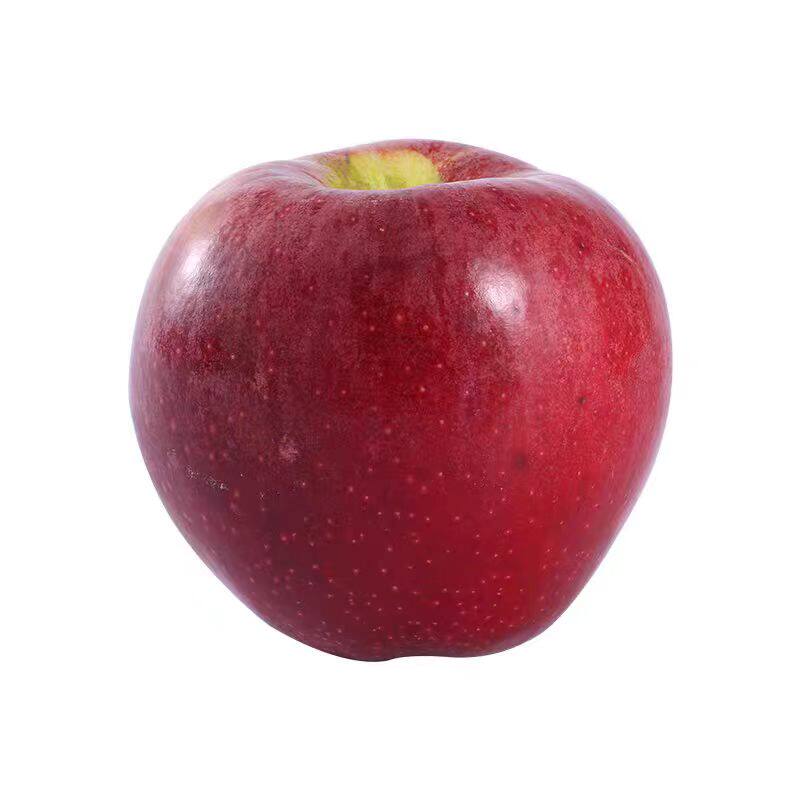 粉面沙甜糯苹果陕西红秦冠苹果老人婴儿孕妇宝宝刮果泥吃新鲜包邮