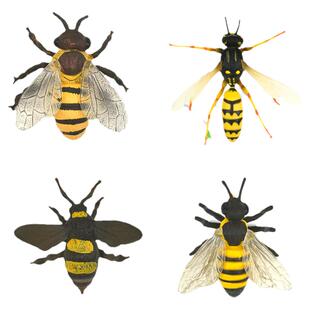 儿童仿真塑料昆虫玩具动物模型蜜蜂大黄蜂宝宝认知科学早教礼物