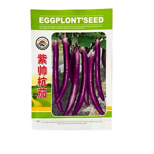 杭茄一号种籽长茄本地茄子苗秧种孑线茄蔬菜种籽春季茄子种籽茄苗