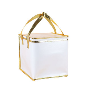 蛋糕冷藏保温袋冷冻食品海参海鲜大礼包保冷袋医药燕窝母婴袋定制