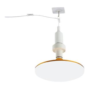 遥控家用插电灯悬挂式室内直插式超亮节能白光灯泡带电线开关插头