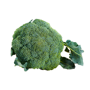 有机西兰花新鲜采摘轻食沙拉青绿花椰菜西蓝花健康辅食无农残蔬菜