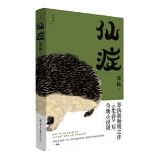 仙症 郑执继畅销作《生吞》后全新作品 王俊凯葛优主演刺猬原著 顾长卫倾情推 荐匿名作家计划首奖之作 文学小说理想国图书旗舰店