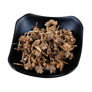 新货野生珠儿参药材猪儿参钮子七竹鞭三七疙瘩七珠子参扣子七包邮