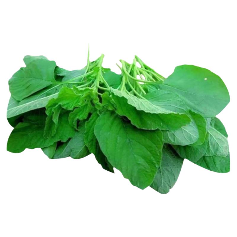 新鲜野生苋菜商用真空装