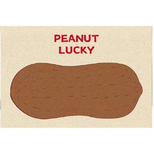 家用地垫入户地毯简约ins风幸运水果进门丝圈垫子耐脏可裁剪脚垫