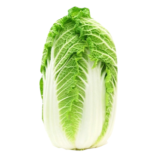 秋播耐寒棵棵18斤大白菜种孑白菜籽种苗大全夏四季阳台大田蔬菜子