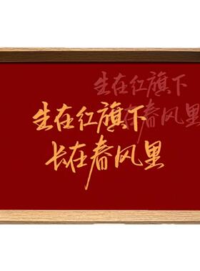 生在红旗下长在春风里文创书法新中式相框客厅玄关摆件家居装饰画