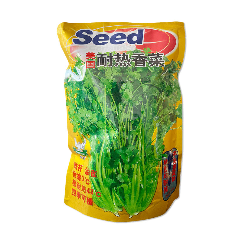 腾运种业美国耐热香菜种子